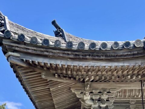 Japaneaves