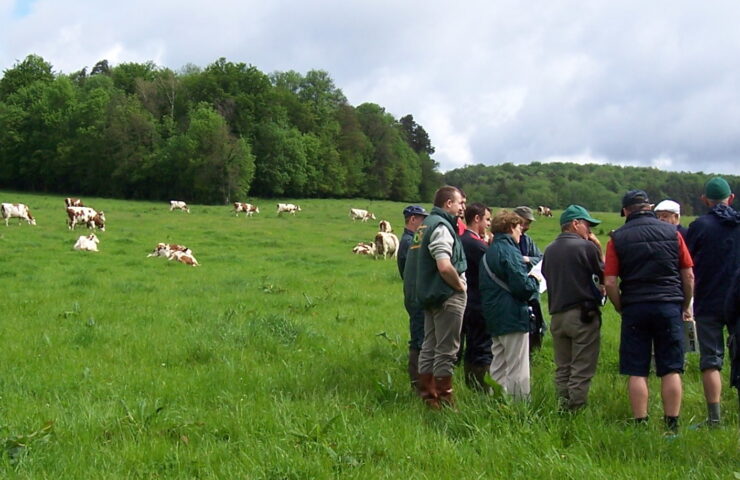 Beef Farm Talk