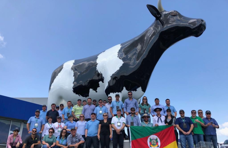 Brazilians Dairy