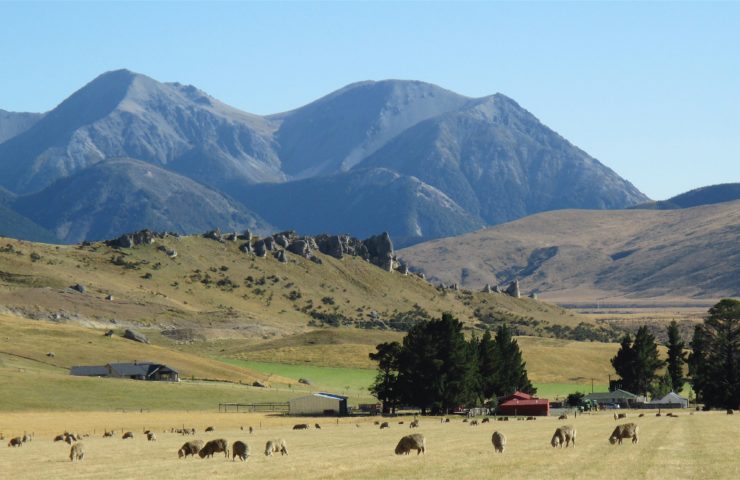 Castle Hill Summer