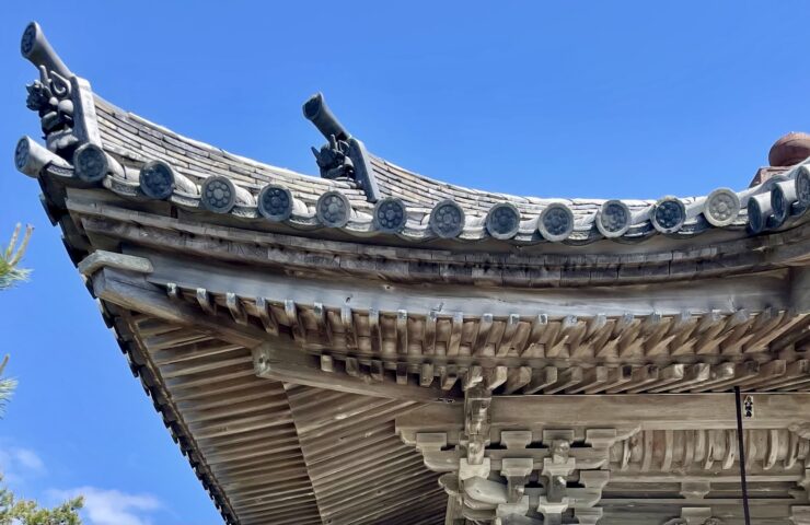 Japaneaves