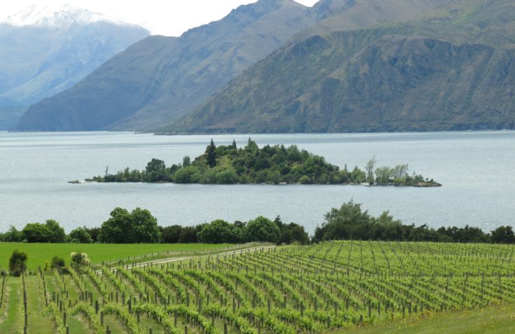 Viticulture Tours